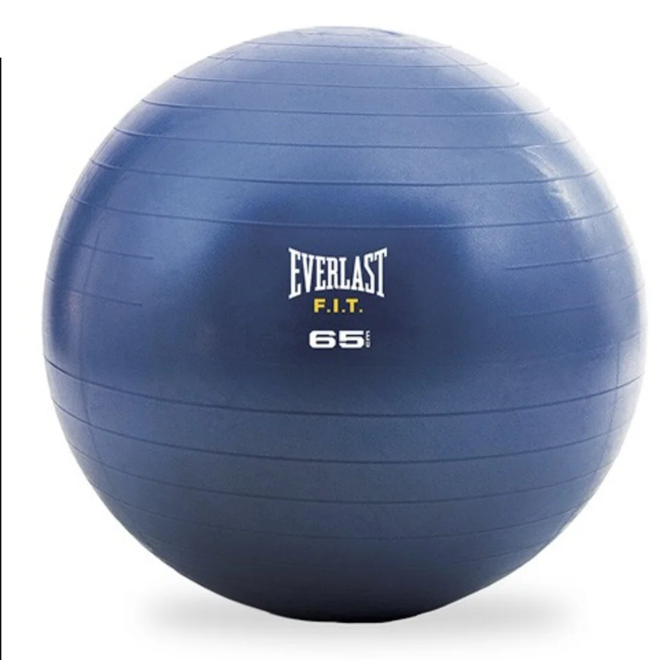 Everlast fitness on sale ball 65cm